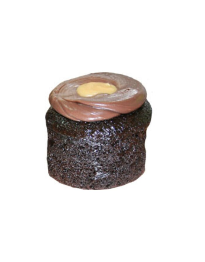 Chocolate Lava Cake - Single Serve